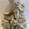 Enigma Magic Mushrooms &ndash; rare blob mutation strain of Psilocybe Cubensis, highly potent with dense clusters and powerful psychedelic effects.