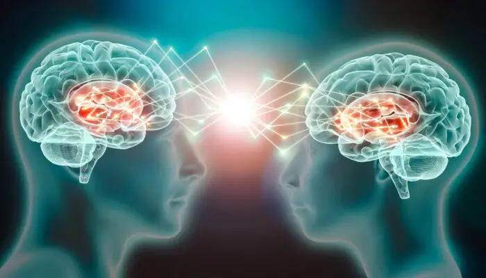 Brain scan showing effects of psilocybin mushrooms causing three weeks of brainwave desynchronization.